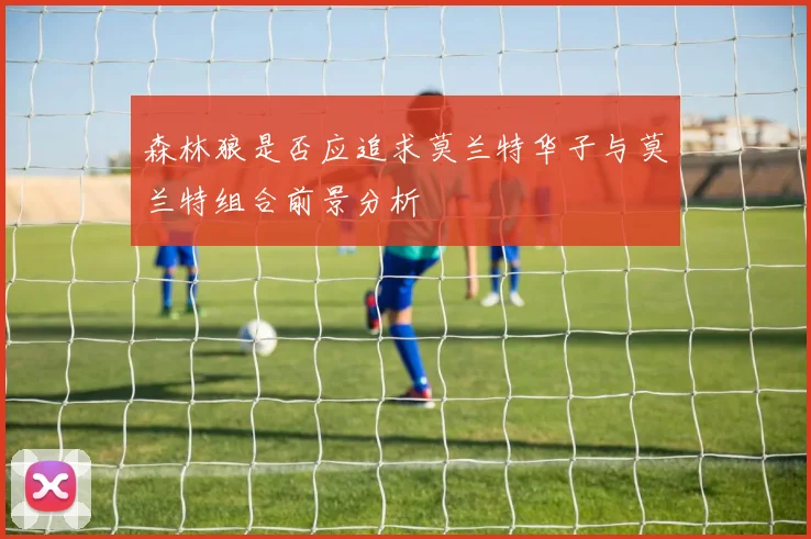 森林狼是否应追求莫兰特华子与莫兰特组合前景分析